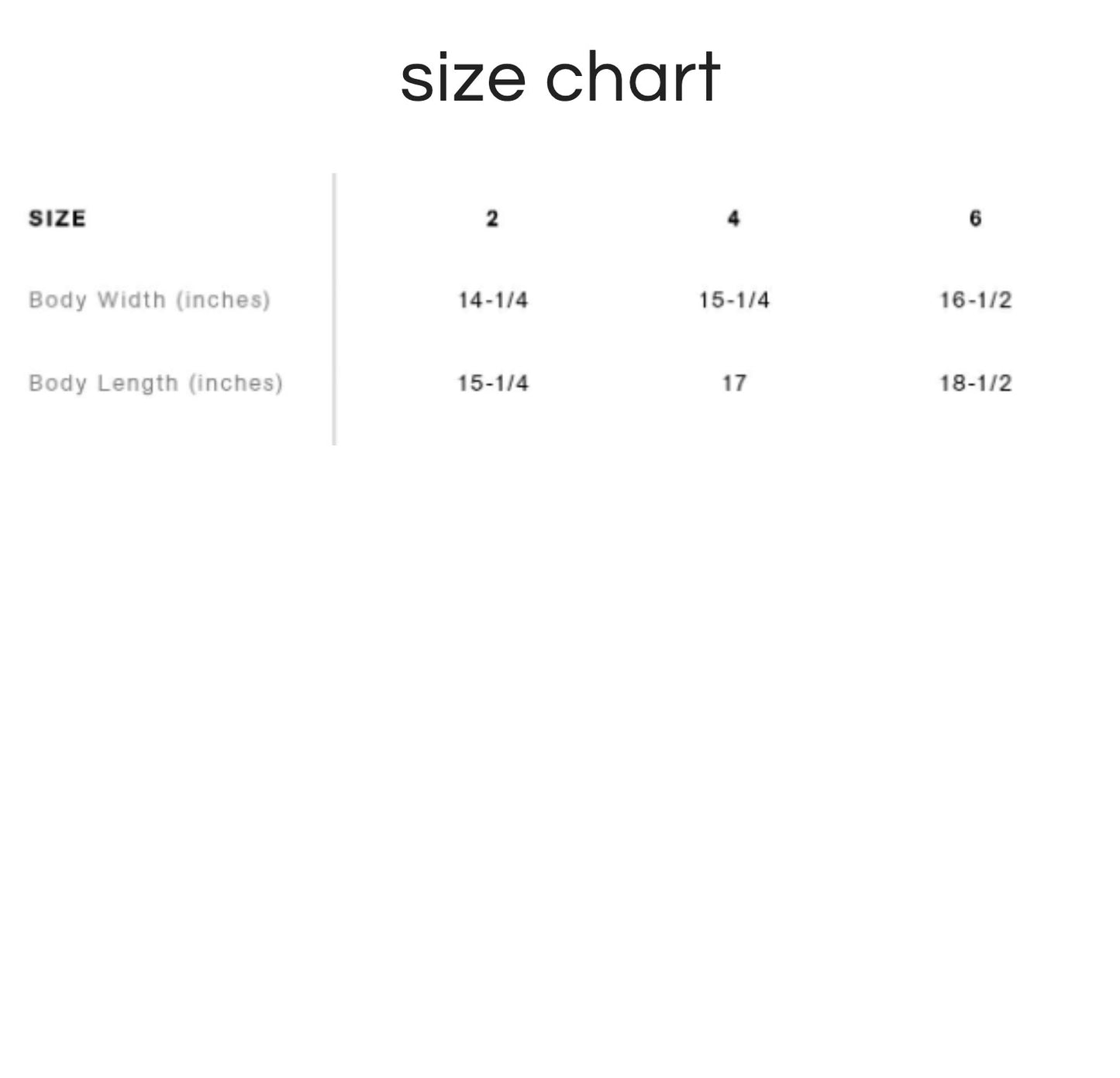 Astro Skier Youth Hoodie